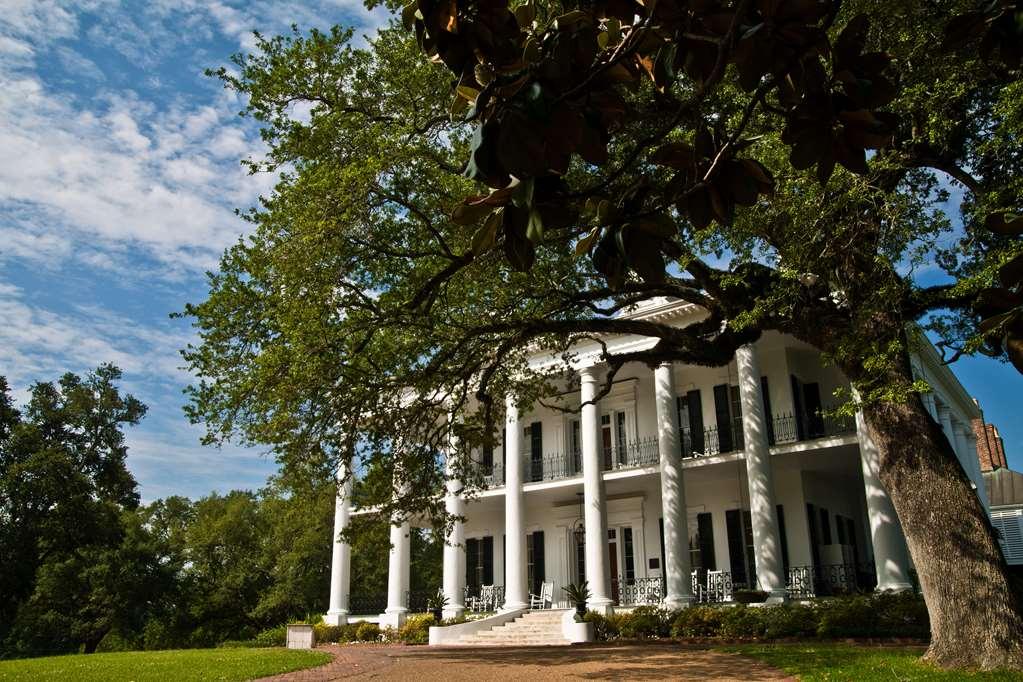 Dunleith Historic Inn Natchez Exterior photo