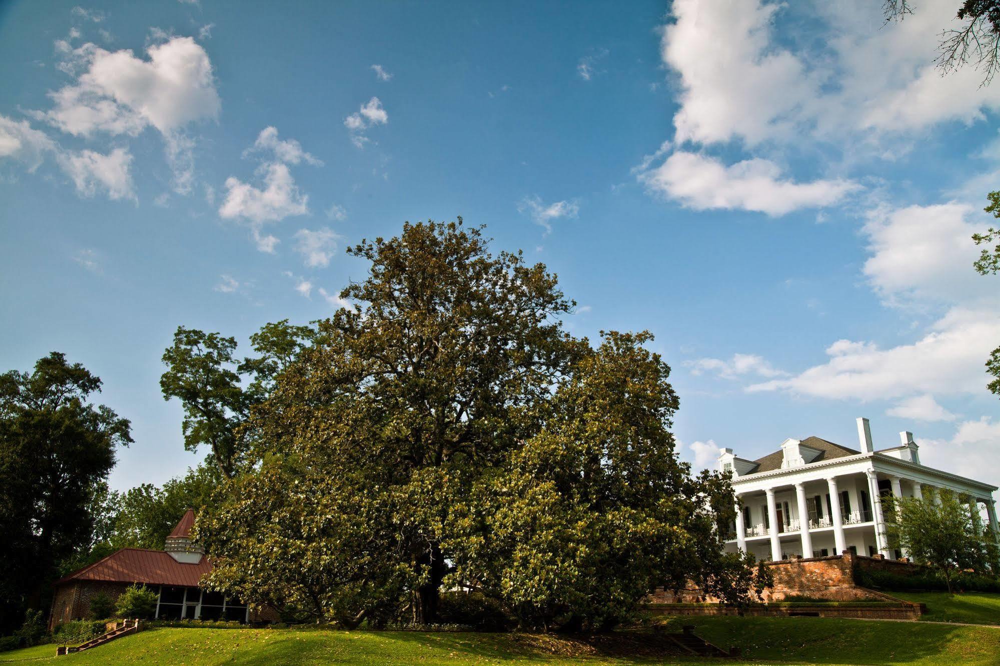 Dunleith Historic Inn Natchez Exterior photo